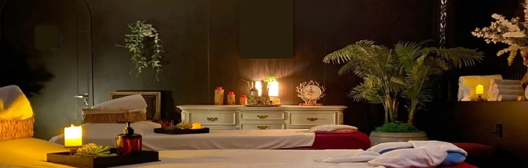 L SPA 11 Home page gallery background
